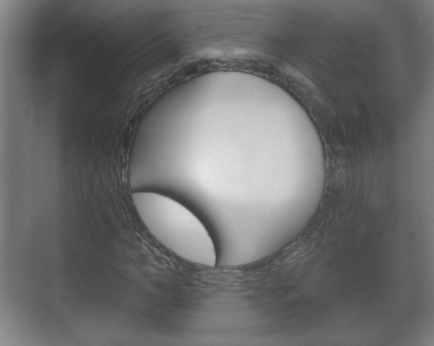 X0000072490966200607140906