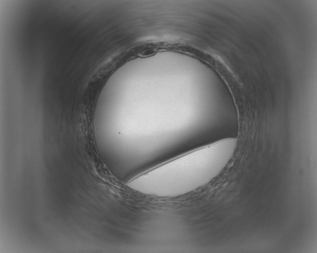 X0000072490967200607140906