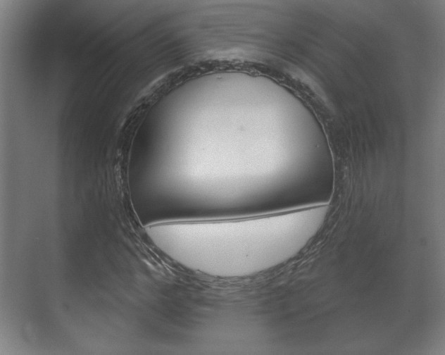 X0000072490968200607140906