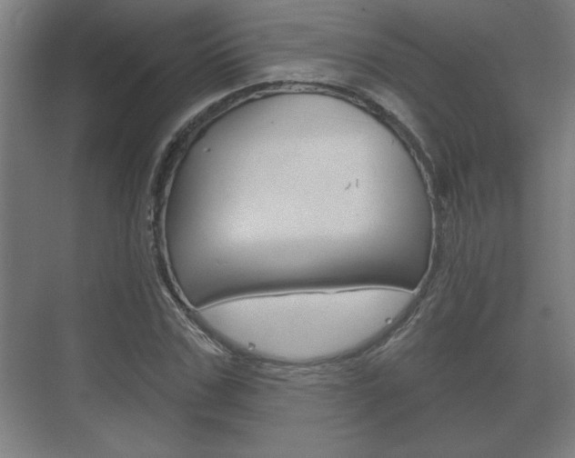 X0000072490971200607140906