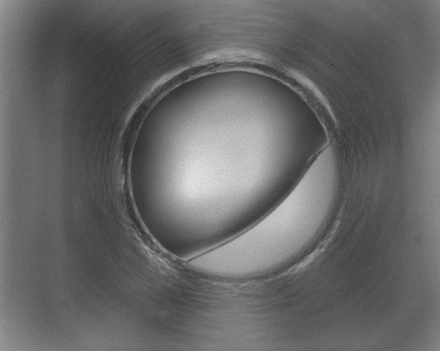 X0000072490973200607140906