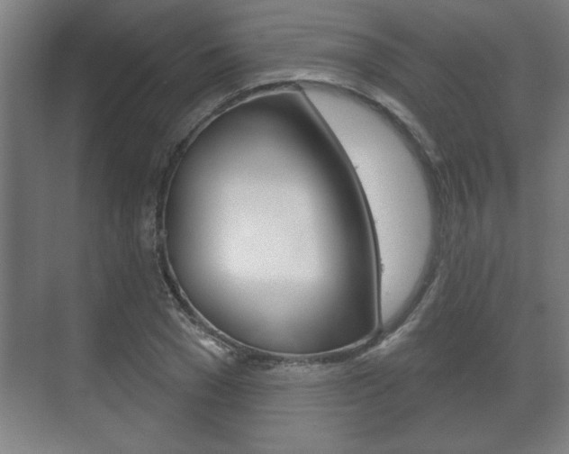 X0000072490977200607140906