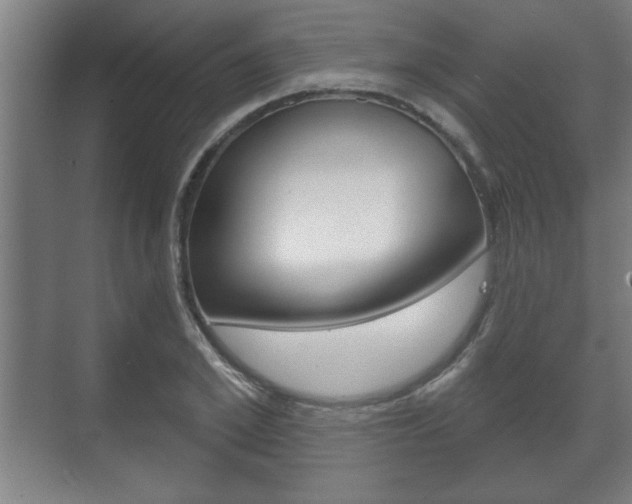 X0000072490981200607140906