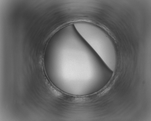 X0000072490985200607140906