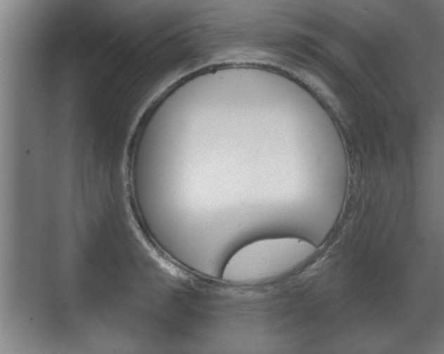 X0000072490990200607140906