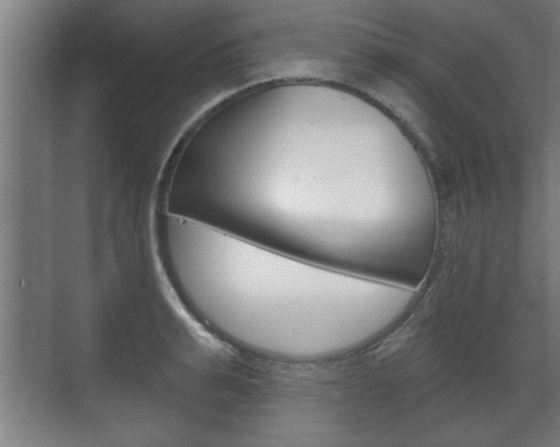 X0000072490991200607140906