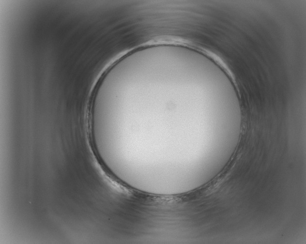 X0000072491003200607140906