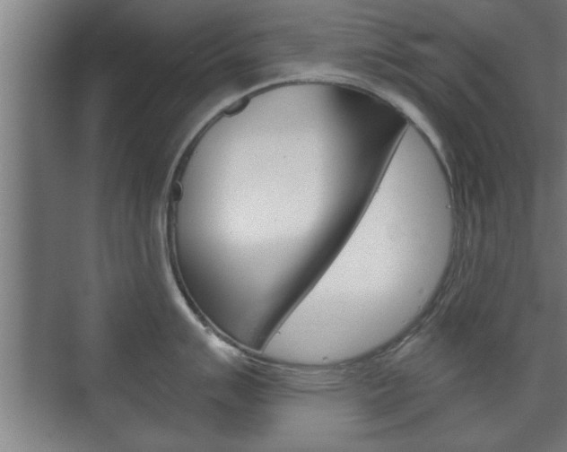 X0000072491007200607140905