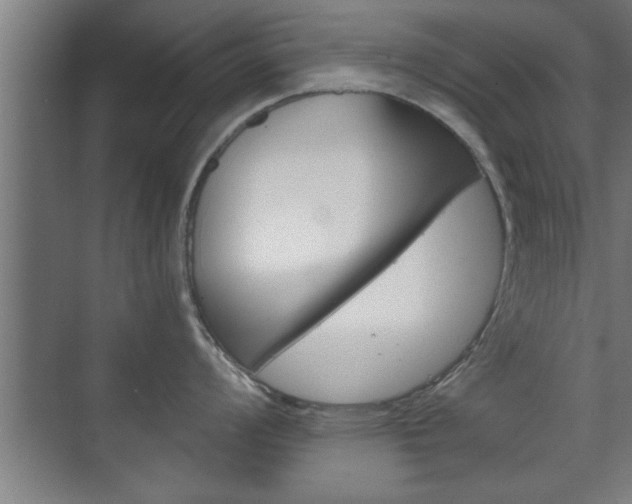 X0000072491008200607140905