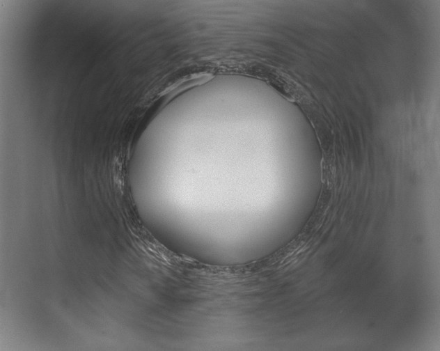 X0000072491010200607140905