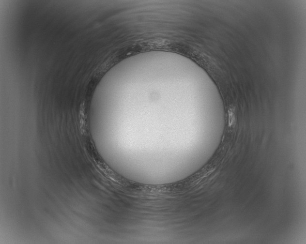 X0000072491011200607140905