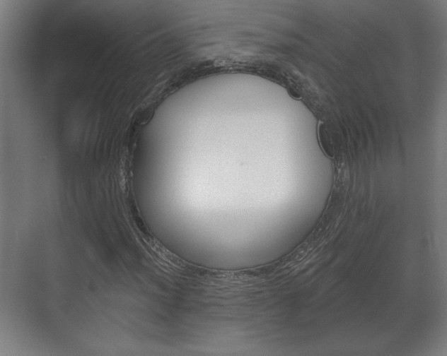 X0000072491012200607140905