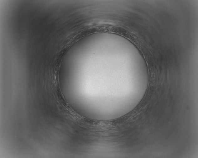 X0000072491013200607140905