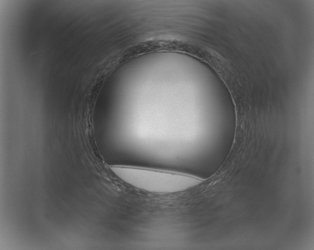 X0000072491014200607140905