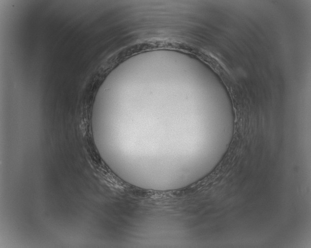 X0000072491015200607140905