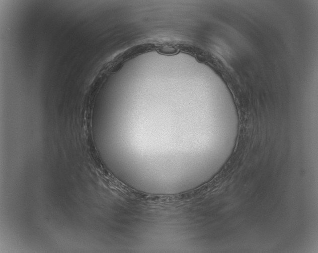 X0000072491016200607140905