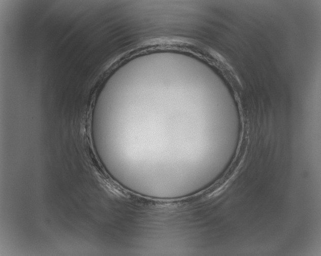 X0000072491017200607140905
