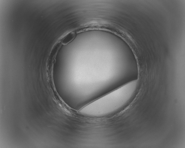 X0000072491018200607140905