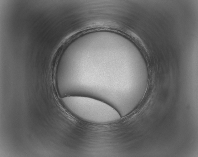 X0000072491019200607140905