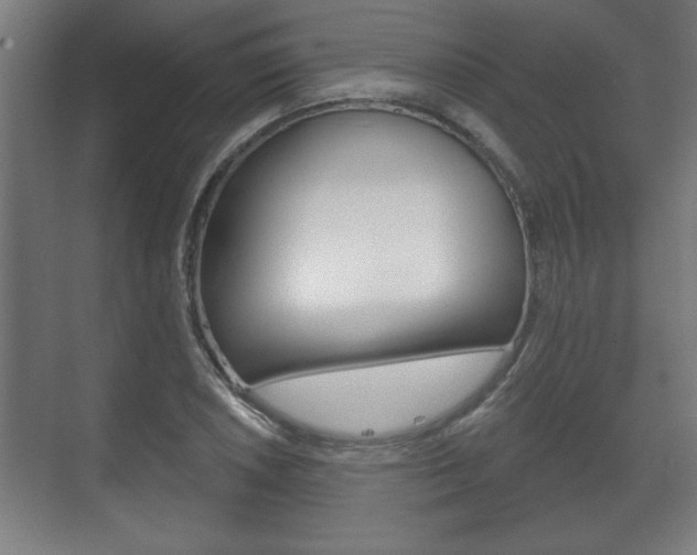 X0000072491026200607140905