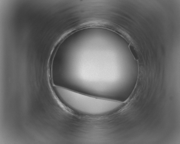 X0000072491034200607140905