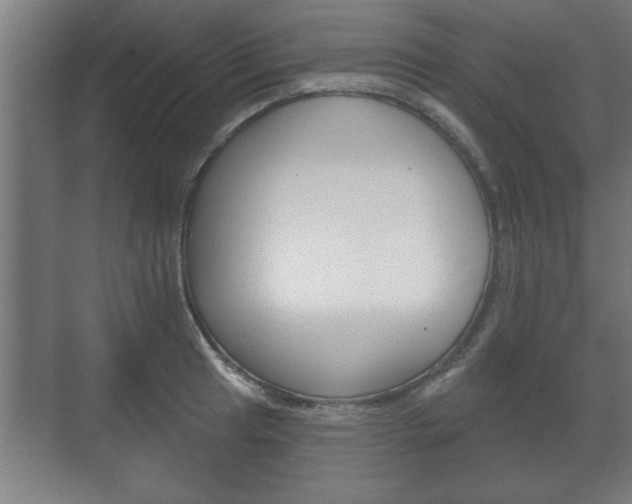 X0000072491041200607140905
