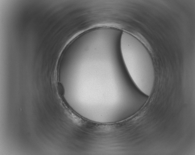 X0000072491044200607140905