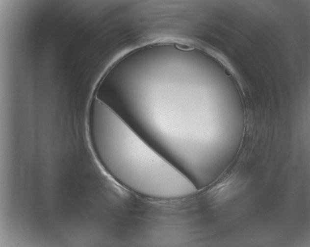 X0000072491048200607140905