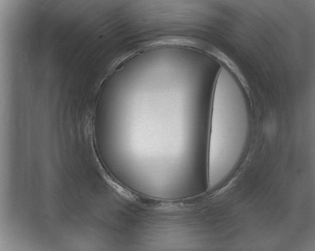 X0000072491049200607140905