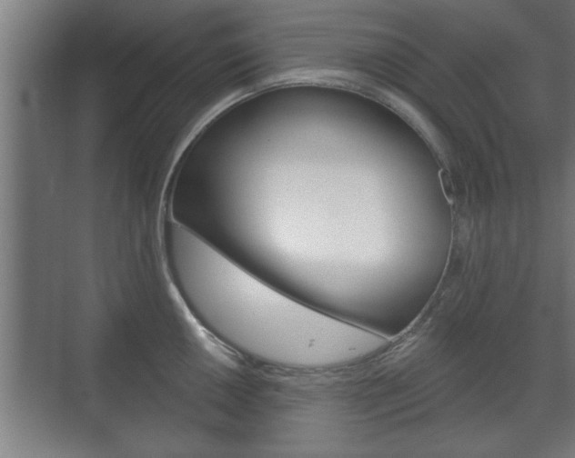 X0000072491050200607140905