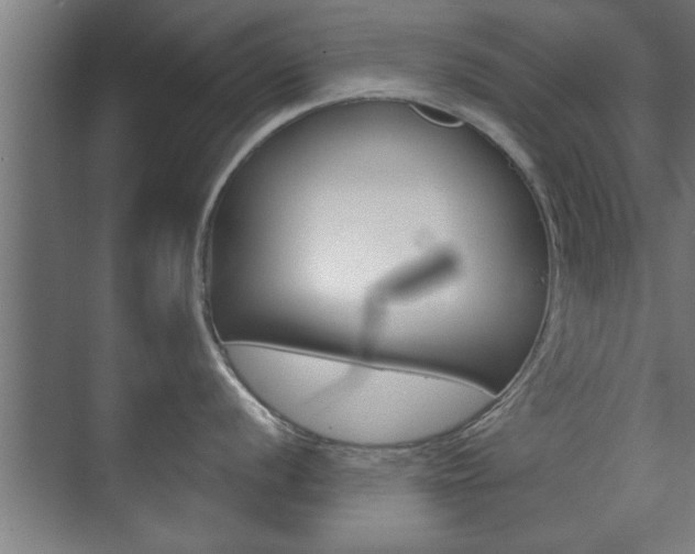 X0000072491056200607140905