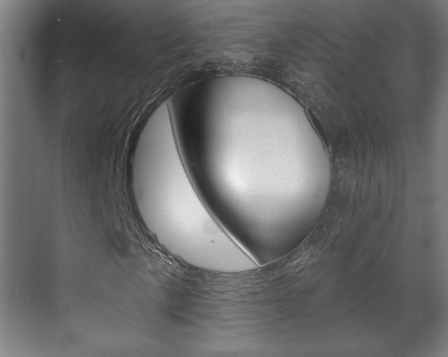 X0000072491057200607140905