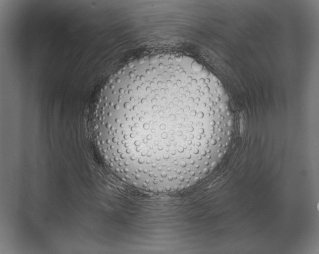 X0000072491059200607140905