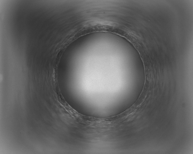 X0000072491061200607140905