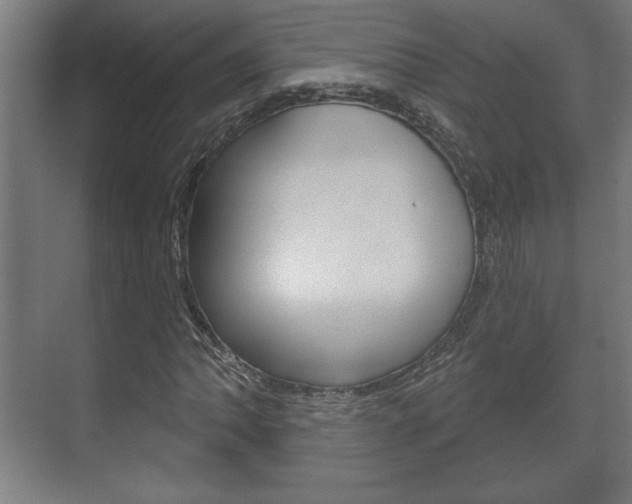 X0000072491062200607140905