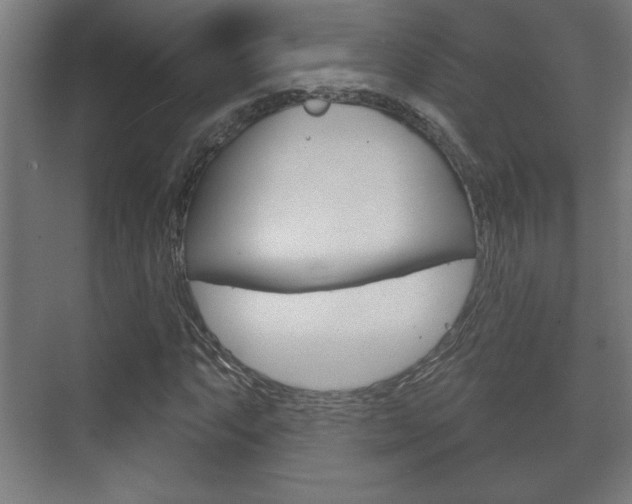 X0000072491063200607140905