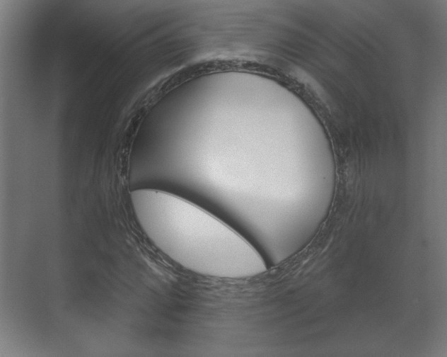 X0000072491064200607140905