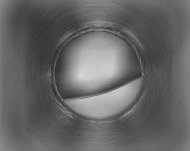 X0000072491065200607140904