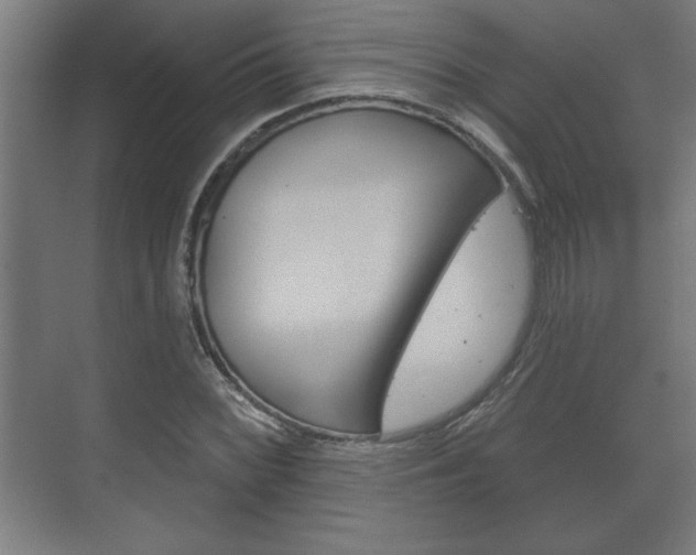 X0000072491068200607140904