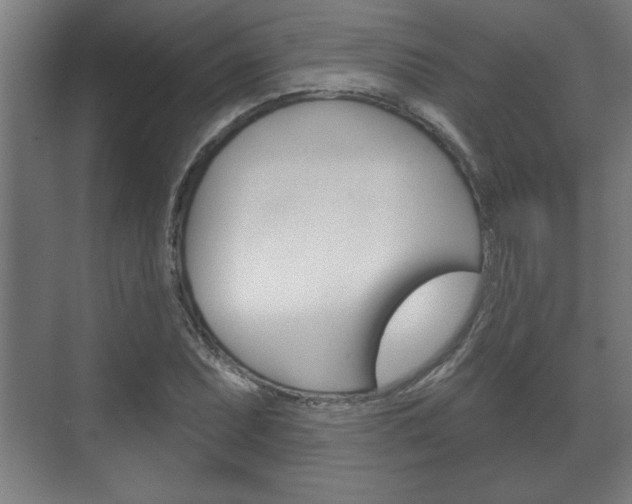 X0000072491071200607140904