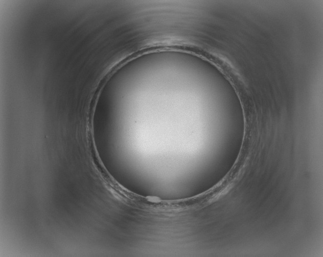 X0000072491073200607140904