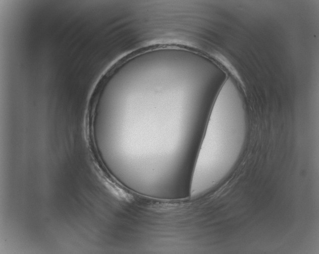 X0000072491076200607140904