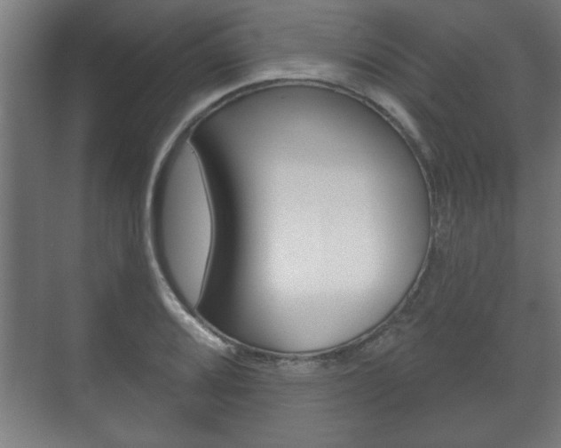 X0000072491080200607140904
