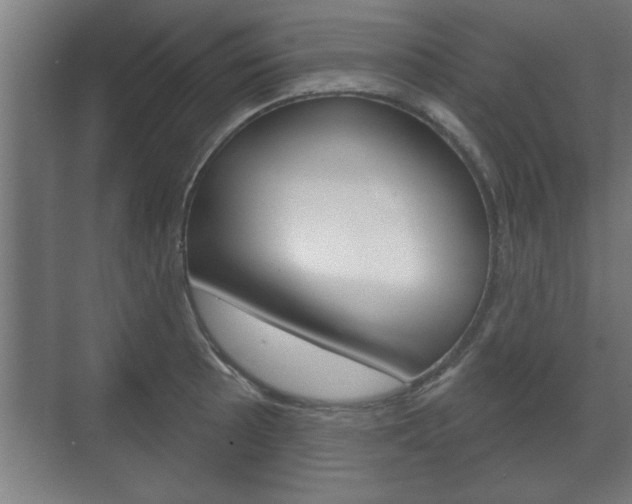 X0000072491089200607140904