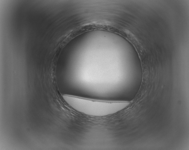 X0000072491110200607140903