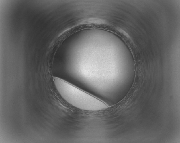 X0000072491112200607140903