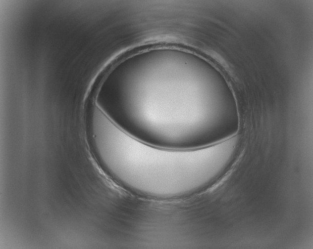 X0000072491118200607140903