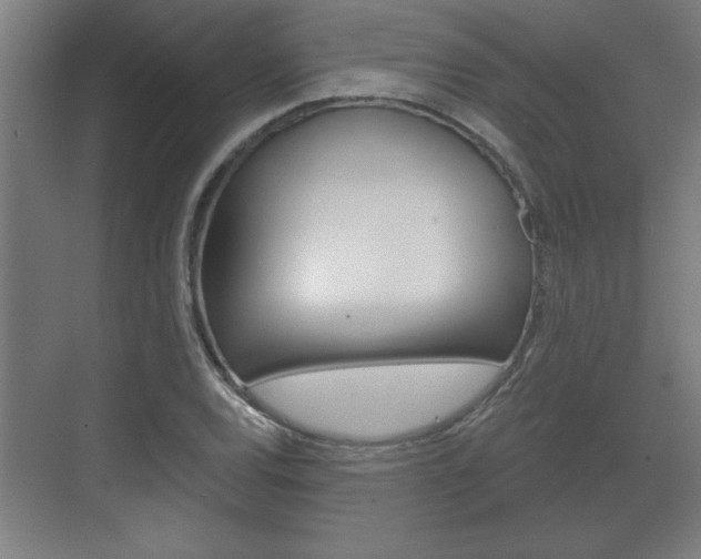 X0000072491120200607140903