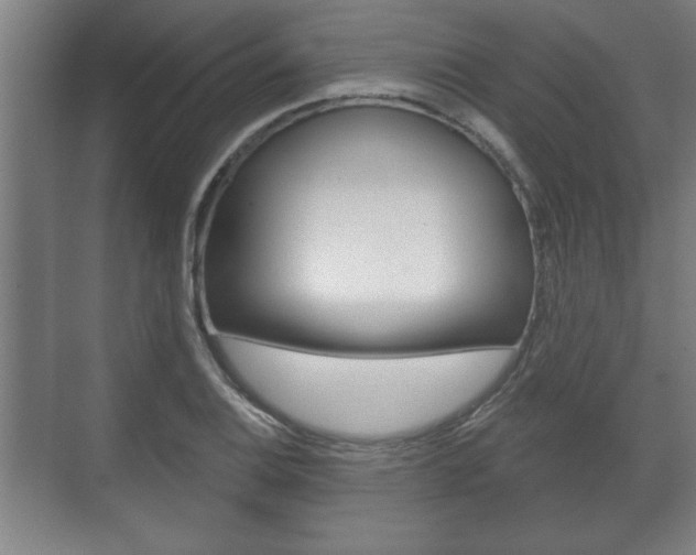 X0000072491124200607140903