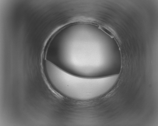 X0000072491128200607140903